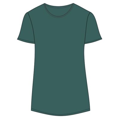 Women's Softstyle® Triblend T-Shirt Thumbnail