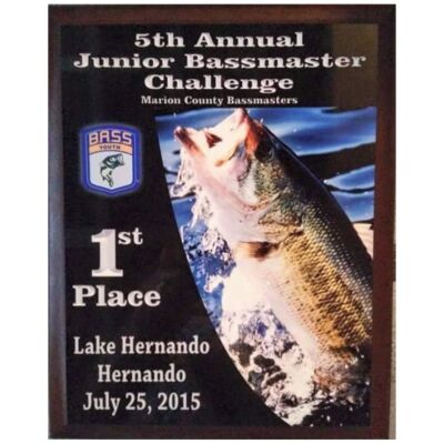 6x8 Award / Photo Plaques Thumbnail