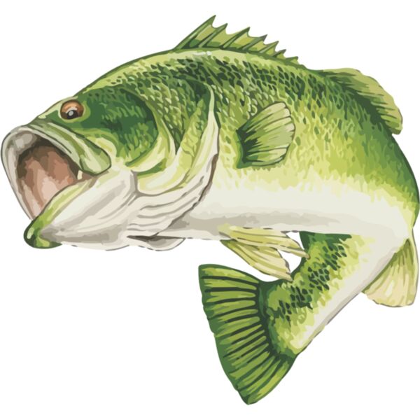 Largemouth 001 Thumbnail