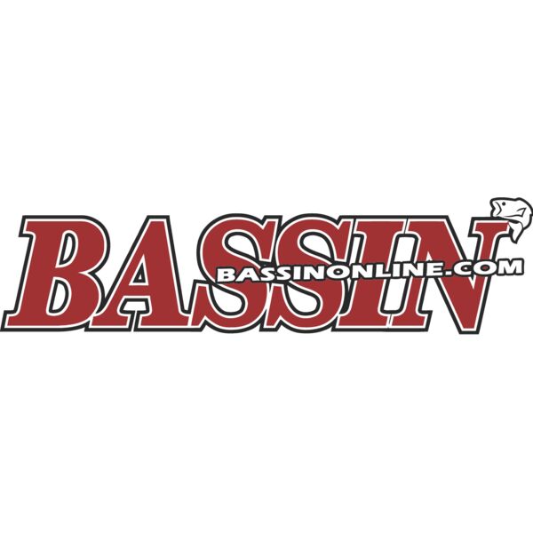 Bassin Online.com Thumbnail